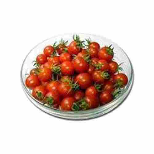Farm Fresh 100% Naturally Grown Round Shape Red Cherry Tomato