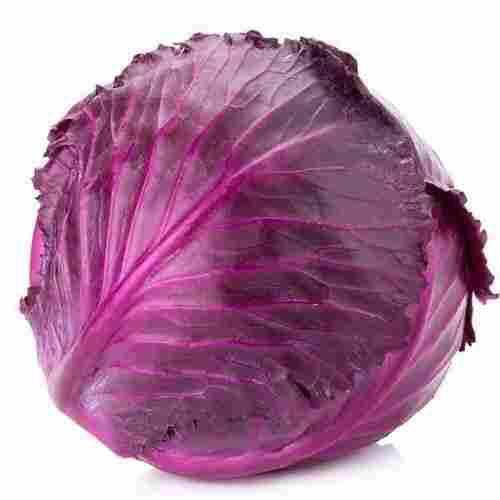 Healthy Farm Fresh 100% Naturally Grown Round Shape Pink Cabbage 