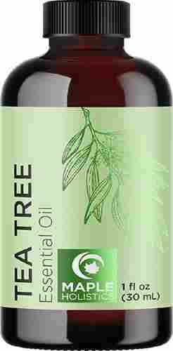 Powerful Natural Tea Tree Essential Oil For Better Skin And Good Hair Quality