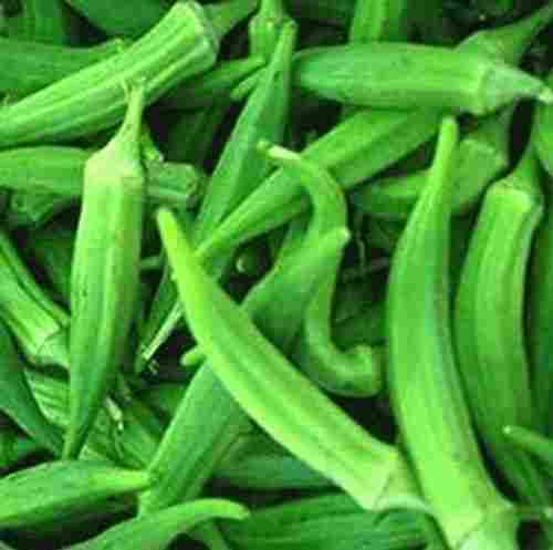 100% Natural Raw Processed 90% Moisture Contained Oblong Okra/Lady Finger