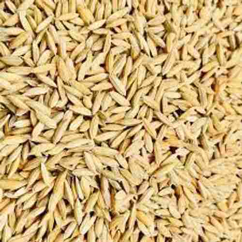 Organic Light Brown Rice Seeds For Agriculture Sector