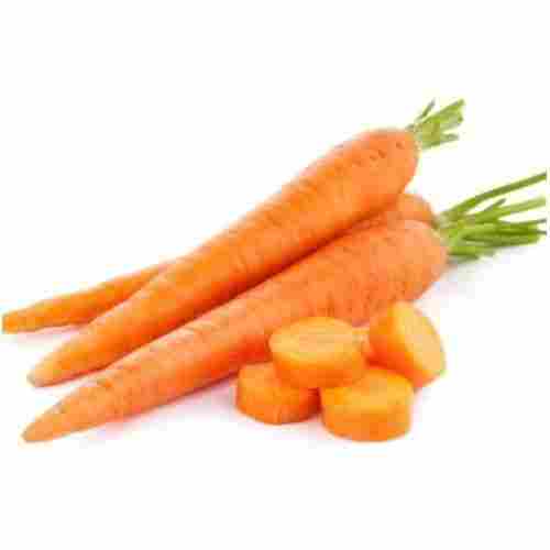 Support Immune Power Vitamins Potassium Beneficial Sweet Fresh Carrot