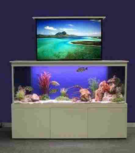 Wall Mounted Wonderful Strong Glass Beautifully Designed Fish Aquarium 