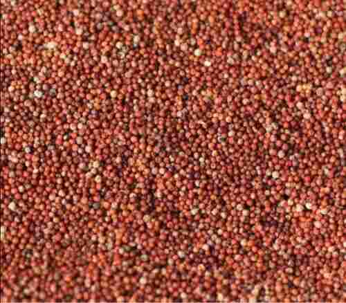 100% Pure Round Shape Indian Origin Dried Red Millet 