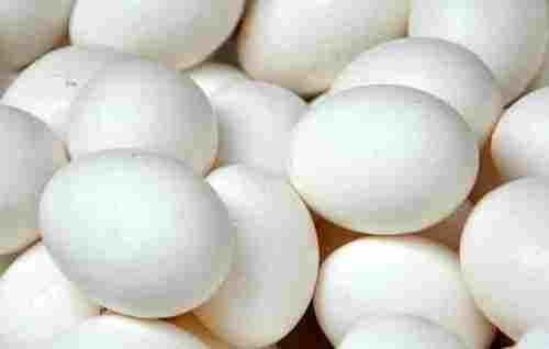 Indian Origin Medium Size Nutrients Rich White Poultry Egg