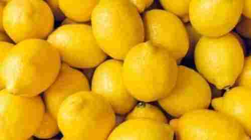 Fight Against Disease Higher Vitamin With 100% A Grade Maharashtra Fresh Lemon