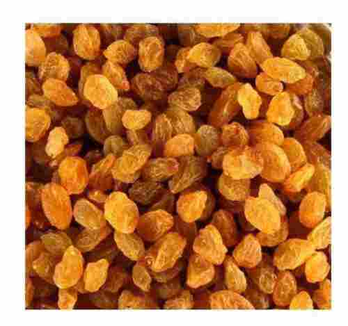 Rich Nutrition Healthy Natural Delicious Sweet Taste Dried Organic Golden Raisins