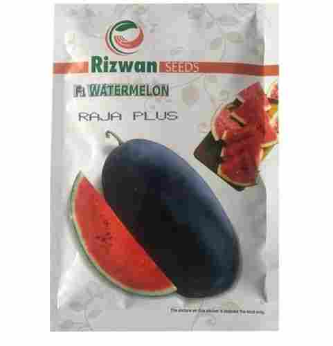 Raja Plus Hybrid Watermelon Seeds For Agriculture, 10 GM Pack