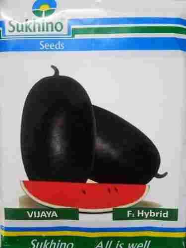 Sukhino Hybrid Watermelon Seeds (Beej) For Agriculture, 10 GM Pack