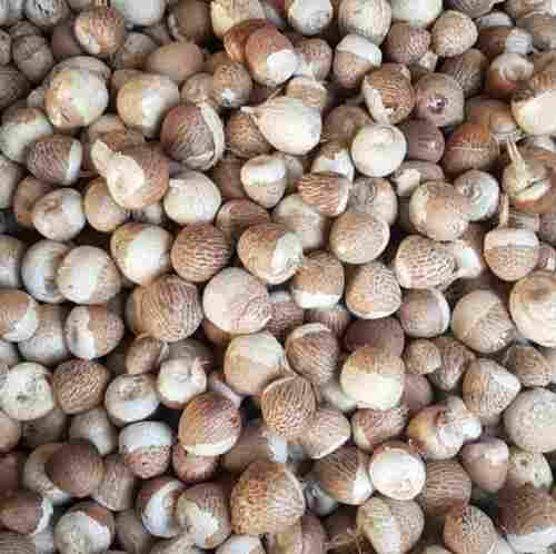 Rich In Protein Fresh Natural Solid Brown Vegan Sweet Dried Half Betel Nuts 