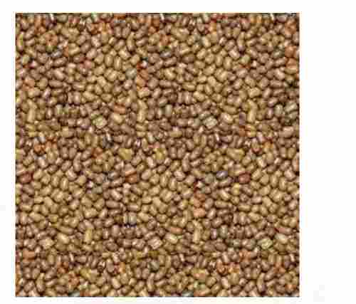 Round Shape Brown Color 42 Gram Protein 100 Percent Organic And Moisture Proof Moth Beans 