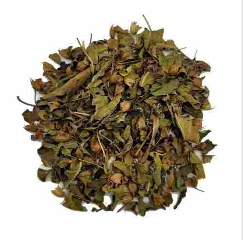 100% Pure Natural Stress Reliever And Immunity Booster Organic Tulsi Green Tea 
