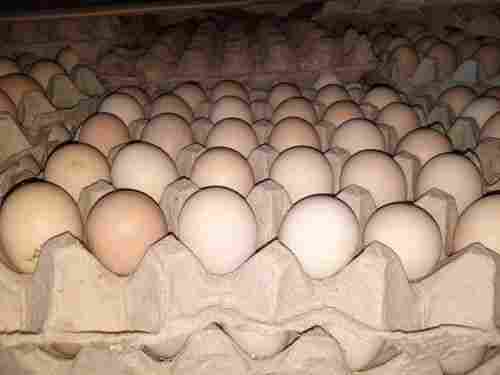 Fresh Low In Calories Healthy Highly Nutritious White And Brown Poultry Eggs