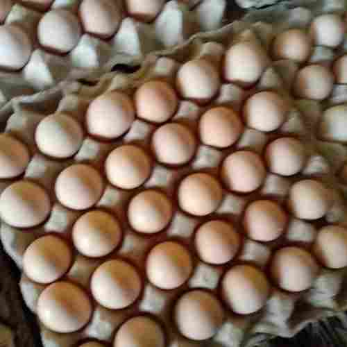 Low In Calories Fresh Rich Source Of Protein And Iron Healthy Brown Eggs