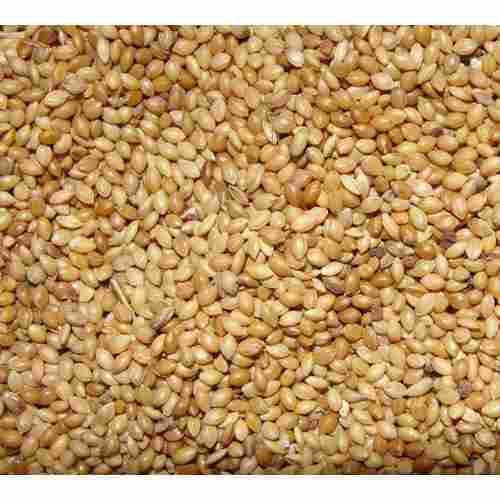 Rich In Protein Gluten Free 100%Pure Fresh Quality And Natural Brown Healthy Foxtail Dried Millet 