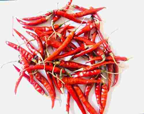 Spicy Red Dried Chilli