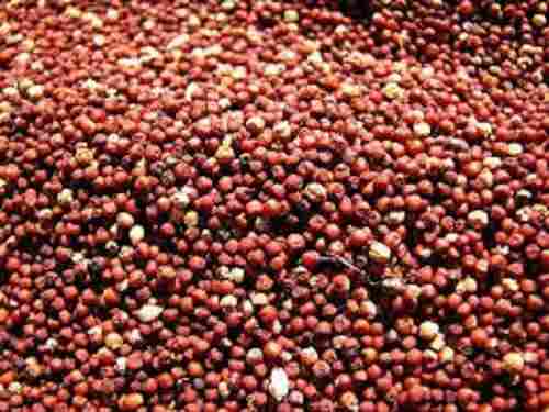 100% Pure Round Shape 25% Moisture Dried Red Millet 