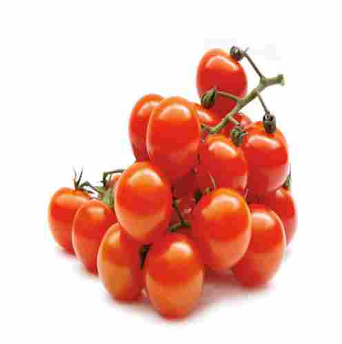 Vitamins Enriched Naturally Grown Antioxidants And Healthy Farm Fresh Cherry Tomato