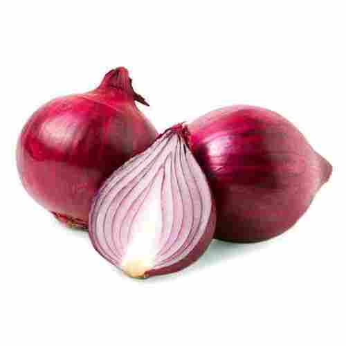 Premium-Qualities Medium To Large Size Dry Fresh Pungent Flavour Red Onion, 1 Kg
