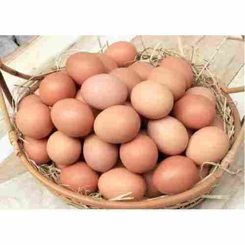 High In Protein And Nutrients Healthy Rich In Vitamins Brown Fresh Eggs