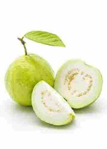 Gluten Free Rich In Fibers Natural Taste Sweet And Pure Green Guava