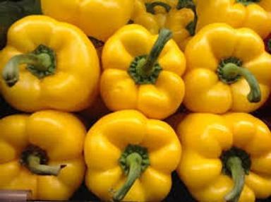 Distinct Flavour And Healthy Benefit Balance Of Sweetness And Heat Yellow Capsicum  Preserving Compound: Cool Place
