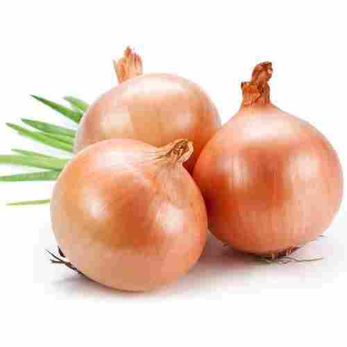 Naturally Grown Antioxidants And Vitamins Enriched Healthy Farm Fresh Organic Brown Onion
