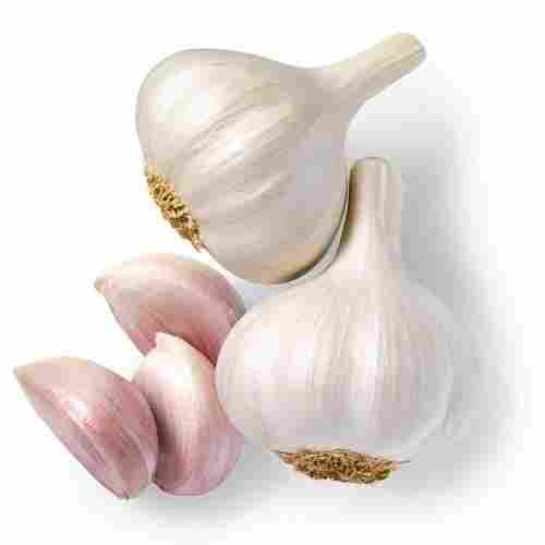 Naturally Grown Dried Form Round Shaped Fresh White Color Garlic , 1 Kg