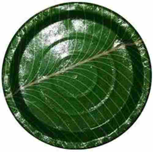 Banana Leaves Printed Disposable For Party Puja And Others Occasion (Green) Paper Plate 