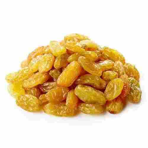 Naturally Dried Oval Shaped Sweet Tested Glutinous Dry Fruit Raisins 