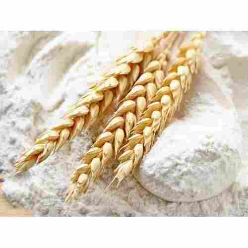 Premium Grade Wholesale Price Chakki Fresh Pure Indian Wheat Flour