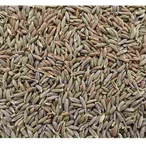 100 % Natural Anti Oxidant Dried Cumin Seeds