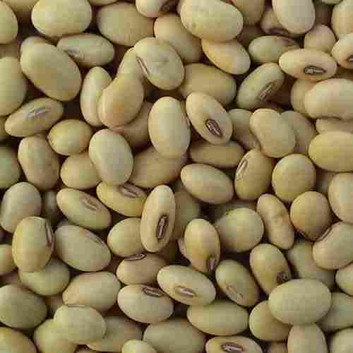 Organic Healthy High Quality Protien Fiber Nutrient Light And Fresh Soyabean Seed