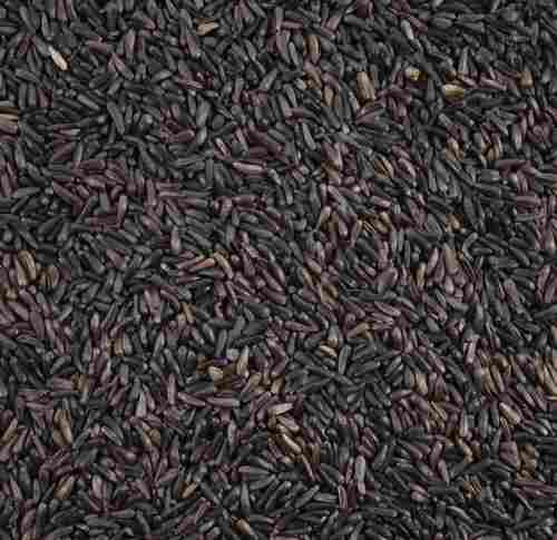 Agriculture Grade Natural Black Niger Seed