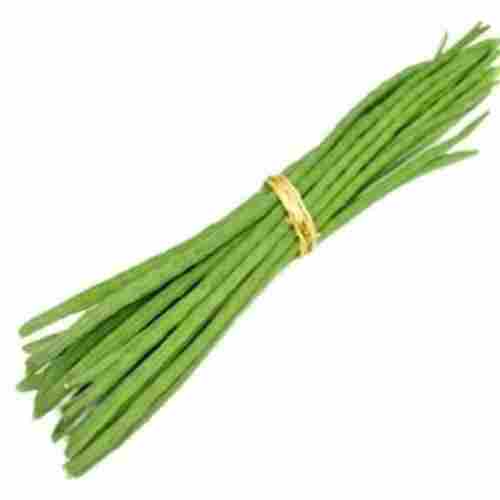 A Grade Green Fresh Organic Drumstick 313 G Pesticide Free For Raw Products