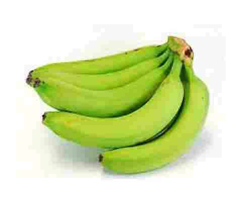 Green Medium Size Long Shape Commonly Cultivated Indian Origin Banana