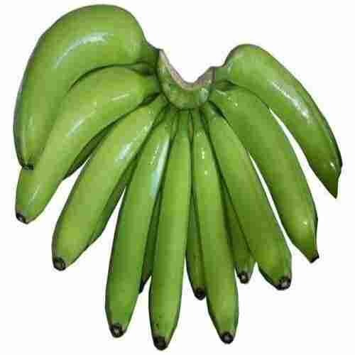 Indian Origin Rich In Vitamin C Fresh And Delicious Taste Green Cavendish Banana 