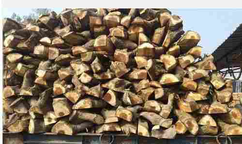 Low Moisture Long Length Easy Split Burns Longer And Hotter Brown Pine Fire Wood 
