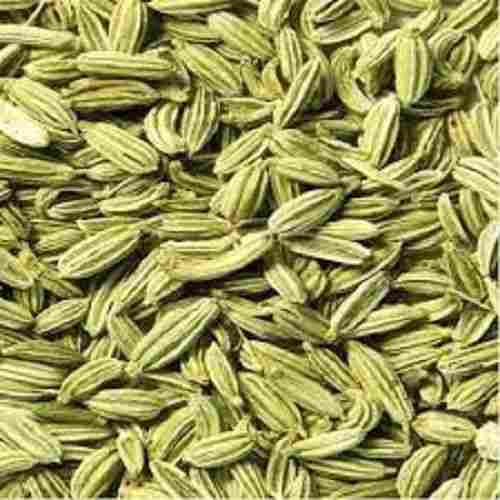 No Added Preservative And Chemical Free Fresh Natural Fennel Seeds