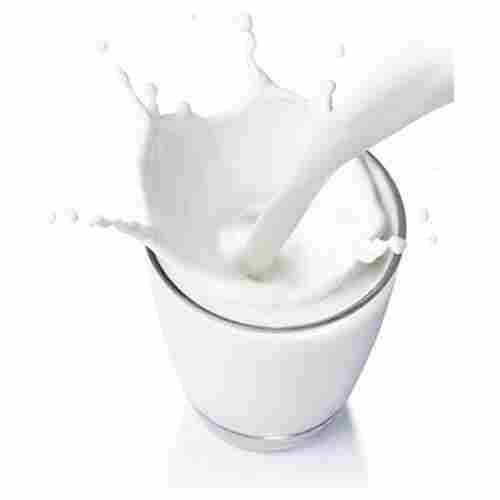 Healthy Pure And Natural Full Cream Adulteration Free Fresh Cow Milk