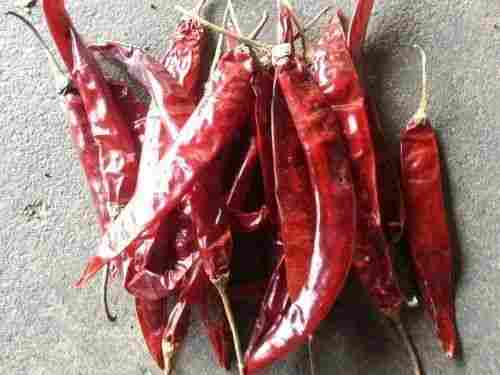 Pack Of 1 Kilogram Dried Spicy Taste 2 Percent Moisture Red Chilli 