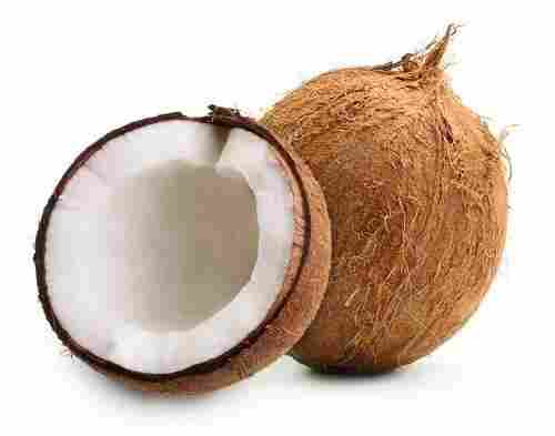 Semi Husked Fresh Coconut, Weigth 350- 450 Gm