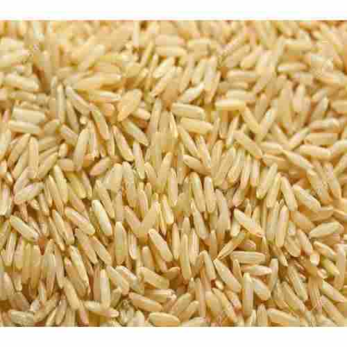 100 % Purity Long Grain Brown Dried Air Dry Yellow Boiled Rice