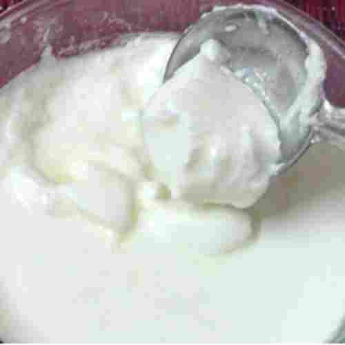 Hygienically Processed Impurity Free And Rich Taste Healthy White Curd
