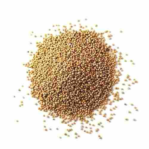 Pack Of 1 Kilogram Round Shape Pure Quality And Natural Brown Mustard Vegetable Seed