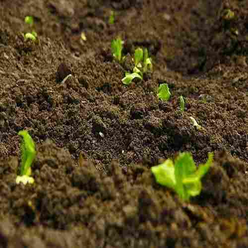 Eco Potash Potassium Mobilizing Bio Fertilizer
