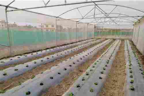 Durable HDPE Biodegradable Agricultural Mulch Film For Agricultural Farms