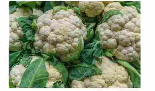 1 Kilogram Packaging Size Round White And Green Natural Cauliflower 