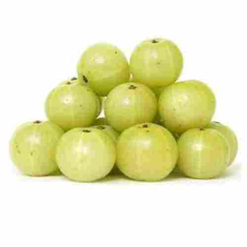 Good Health Pesticide Free Rich Taste And Naturally Grown Fresh Gooseberry 
