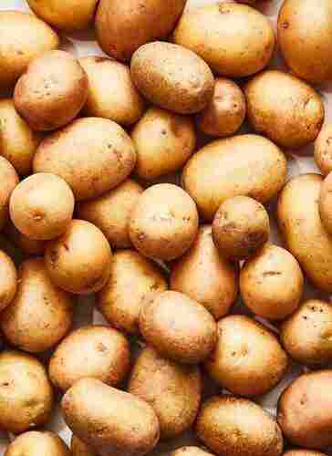 Healthy And Nutritious Good Source Of Potassium Vitamins Round Fresh Potato